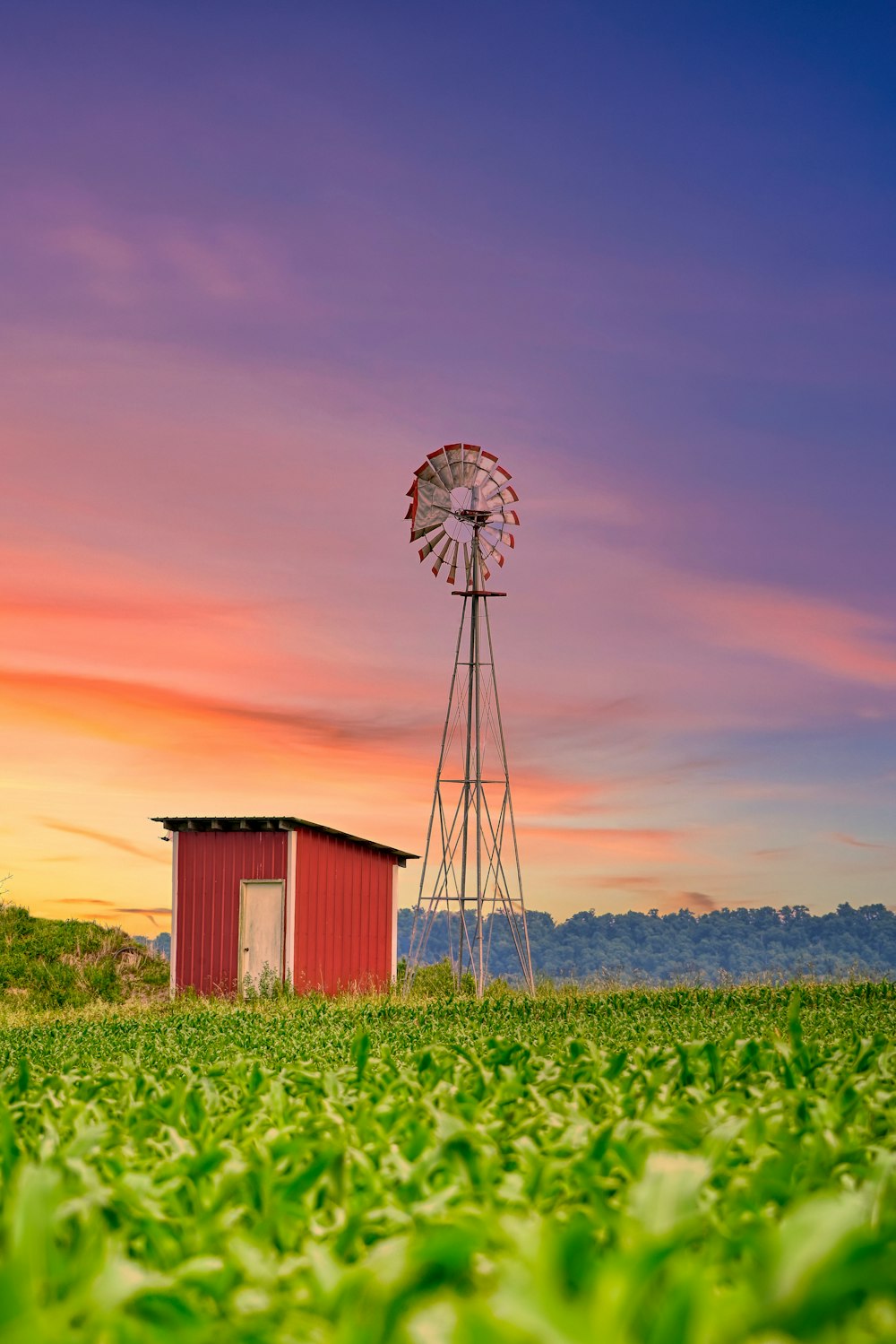 white and red windmill on green grass field during daytime