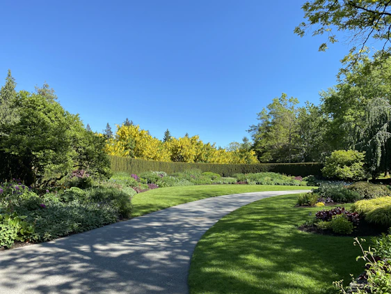 green grass field with trees under blue sky during daytime