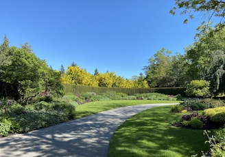 green grass field with trees under blue sky during daytime