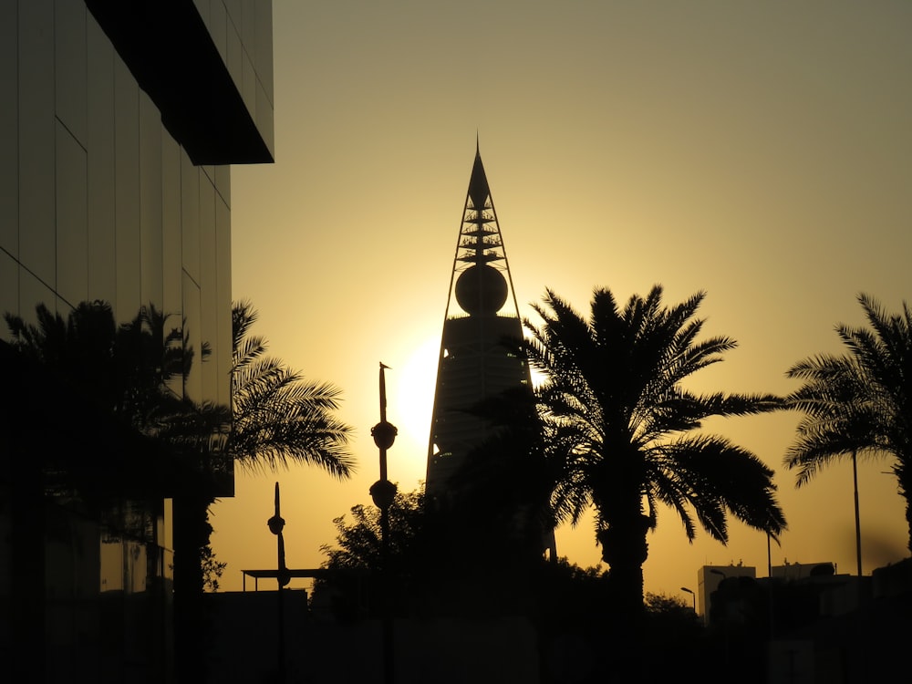 silhueta de árvores e construção durante o pôr do sol