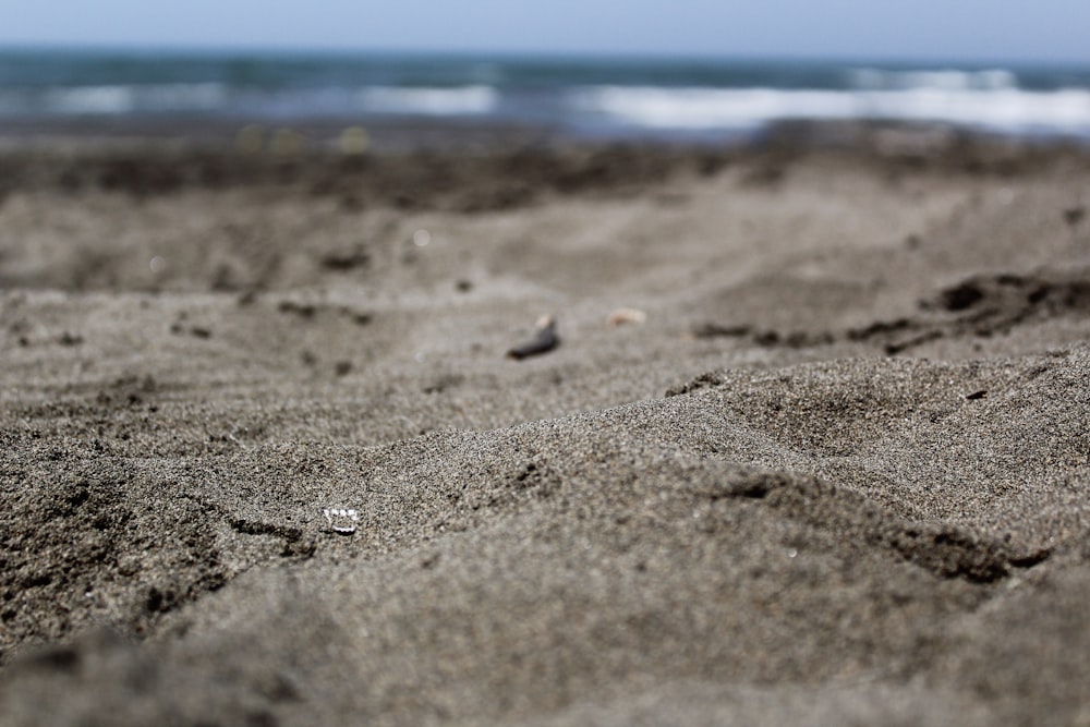 brown sand near body of water during daytime