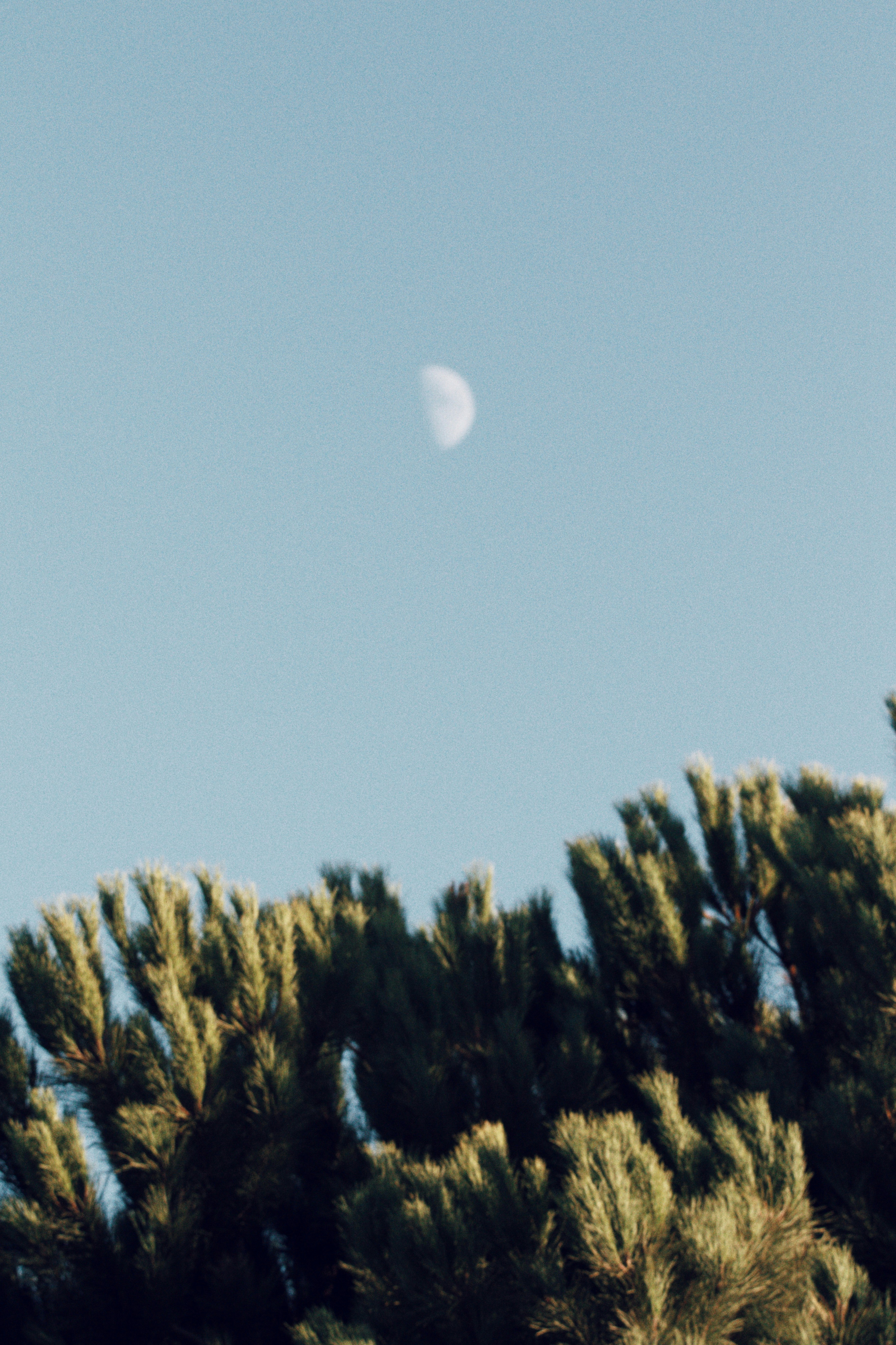 Photo by joaogilramos
