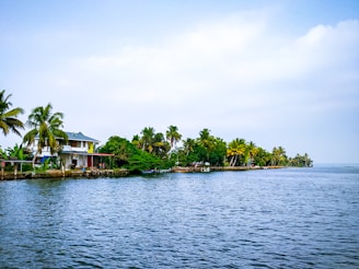 green trees on island surrounded by water under white clouds during daytime