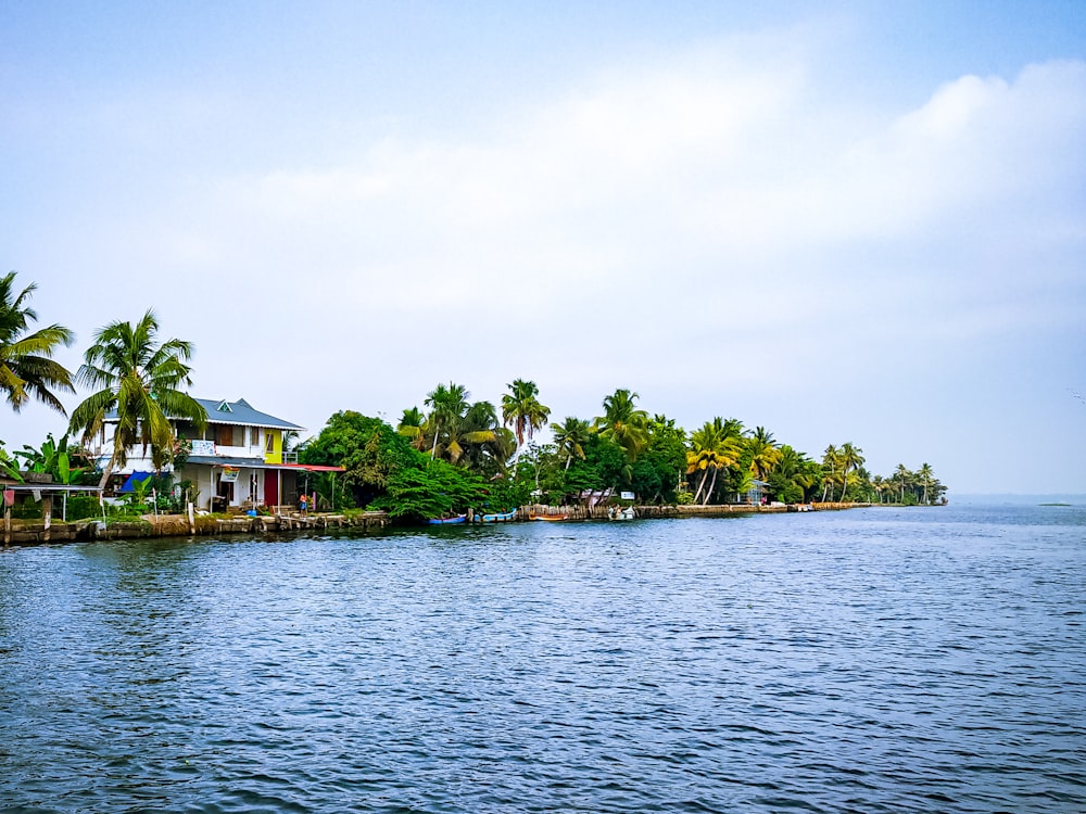 green trees on island surrounded by water under white clouds during daytime