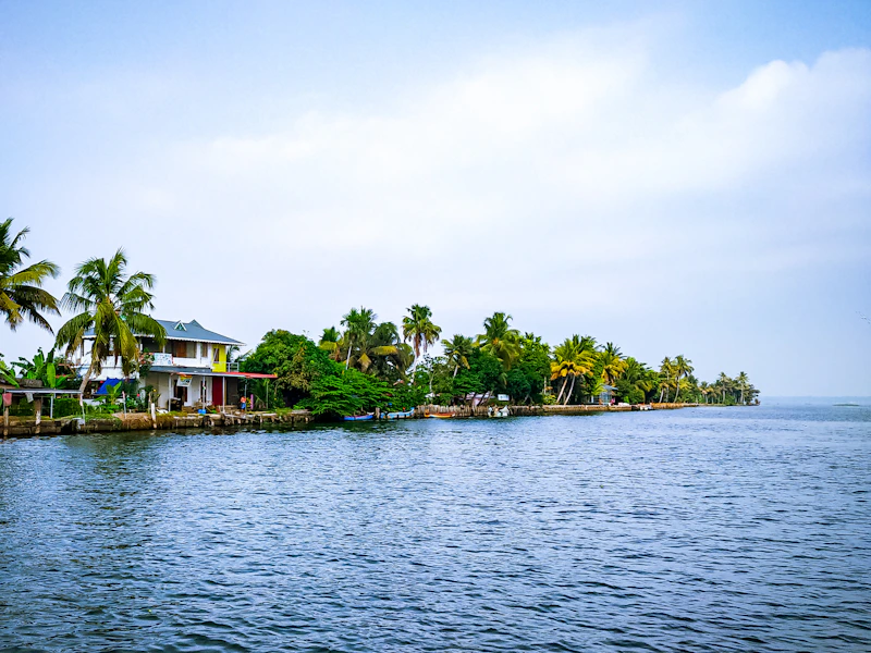 Best Pizza Places in Alleppey: Where to Go for a Proper Slice