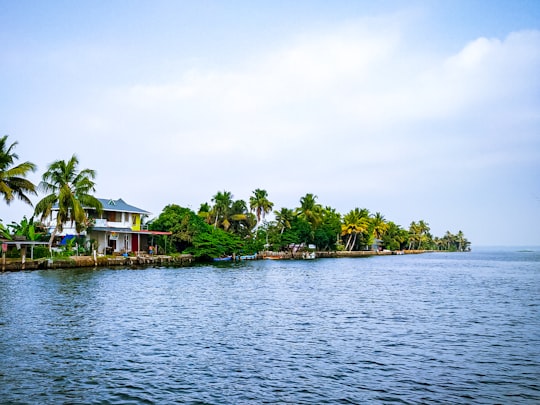 green trees on island surrounded by water under white clouds during daytime in Alleppey India