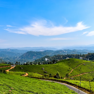 green grass field near mountain under blue sky during daytime