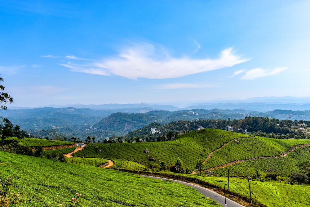 Champ d’herbe verte près de la montagne sous le ciel bleu pendant la journée