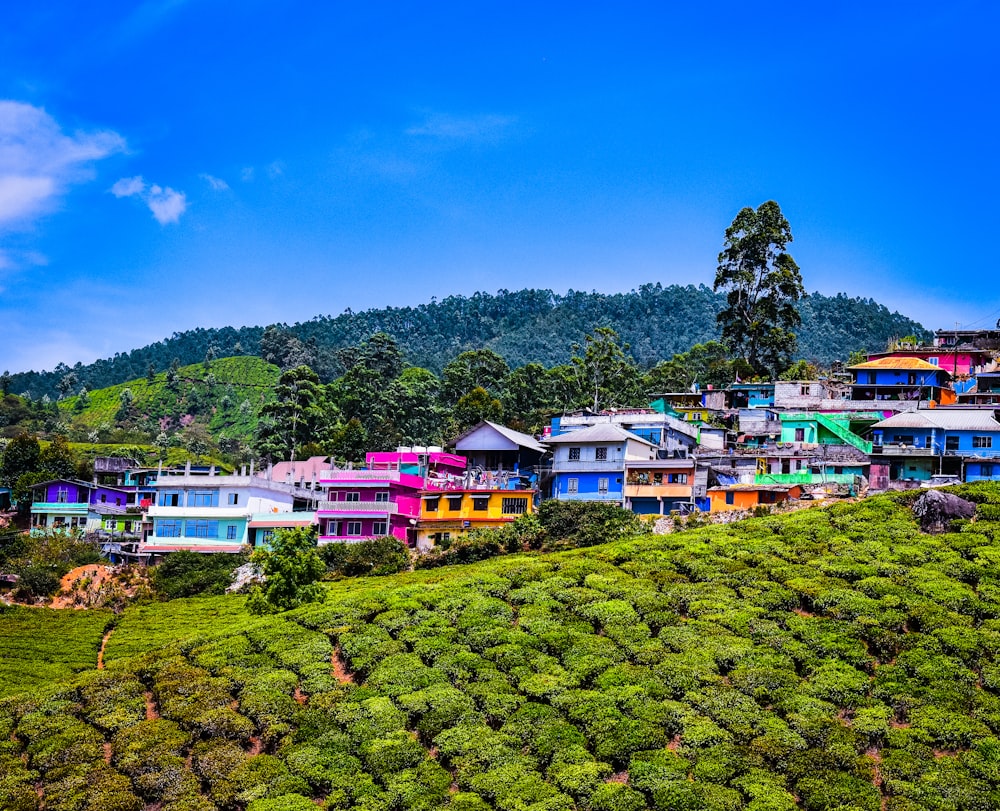 green grass field near houses under blue sky during daytime