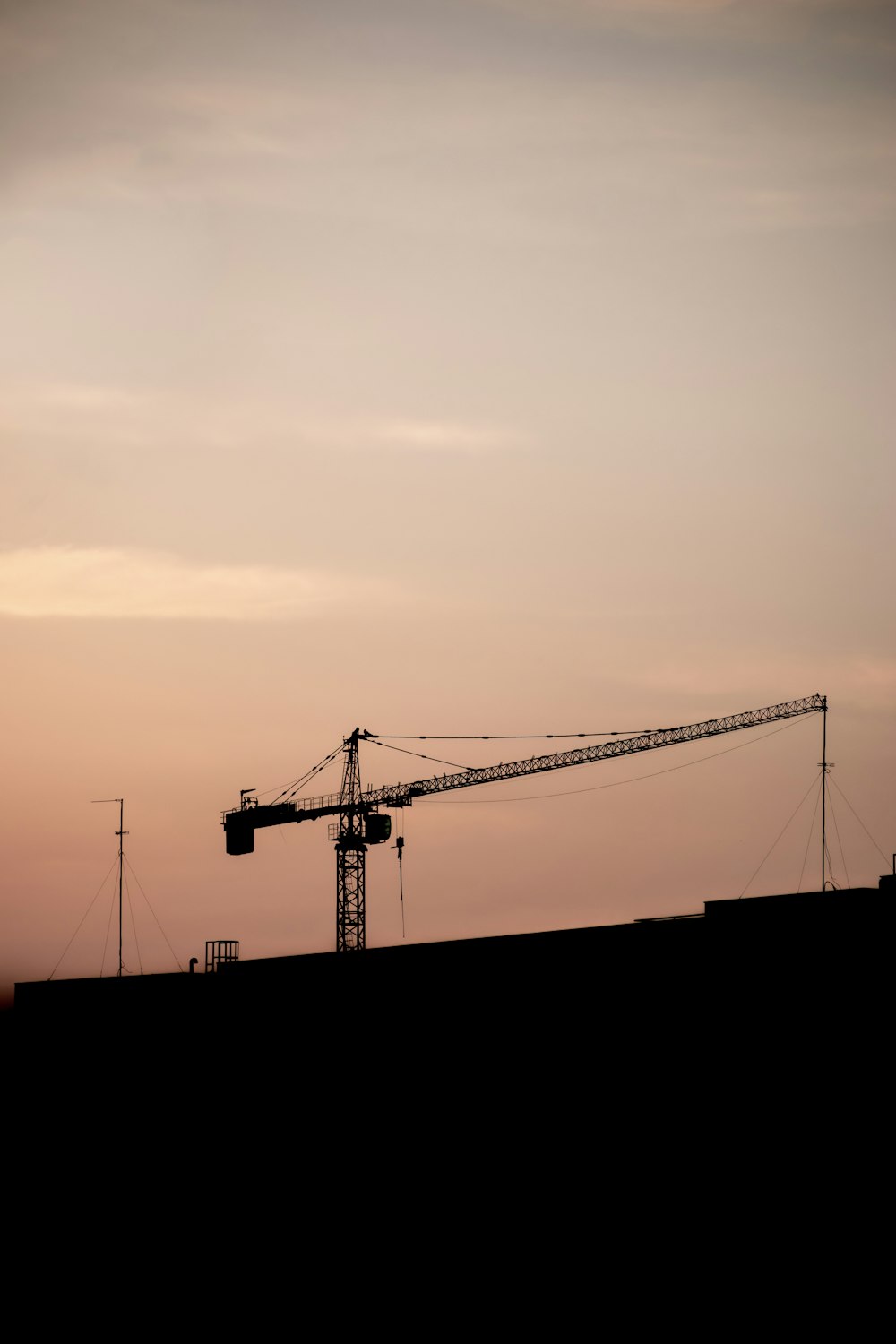 silhouette of crane during sunset