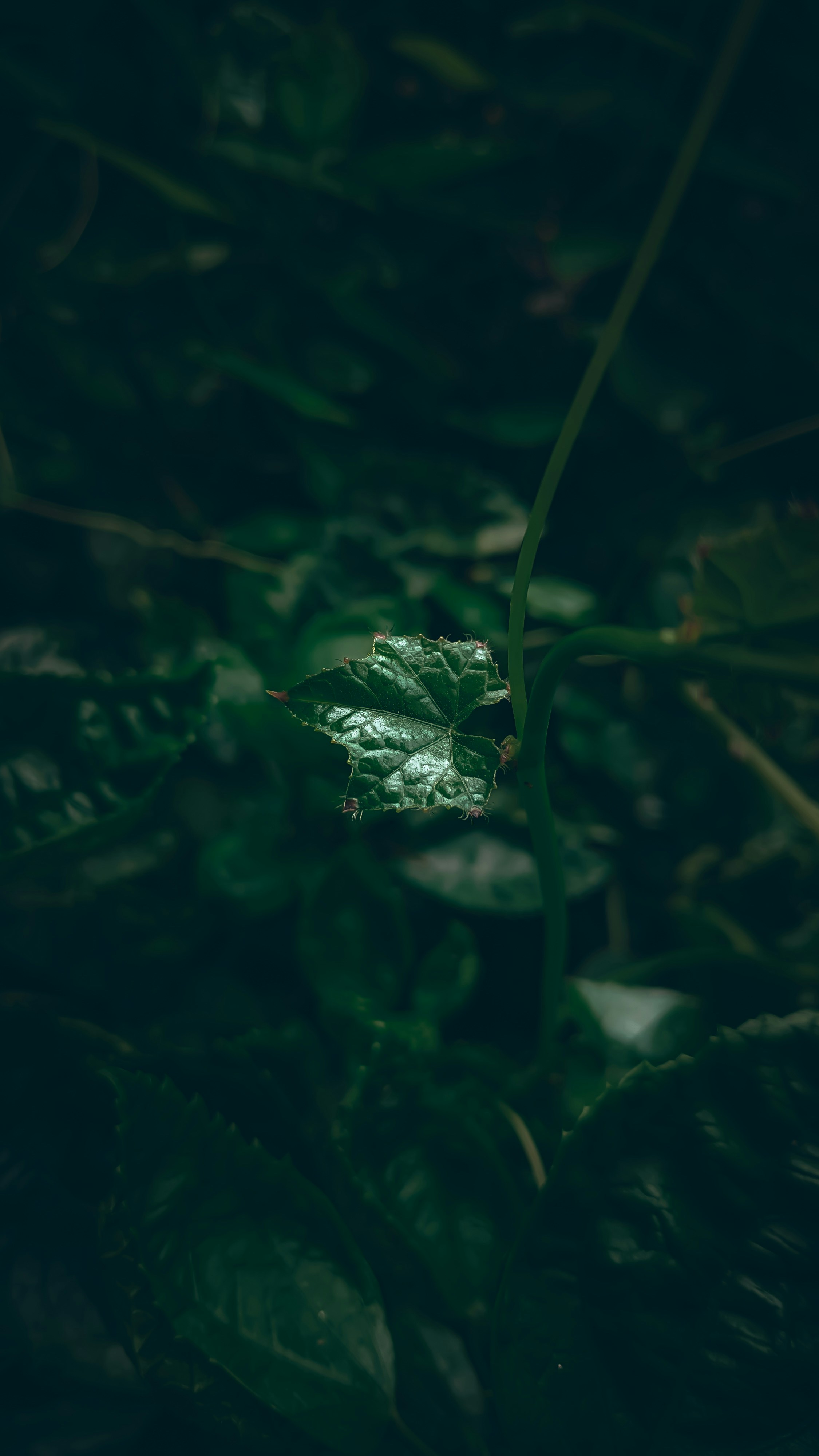 Photo by anirudh_gadgil