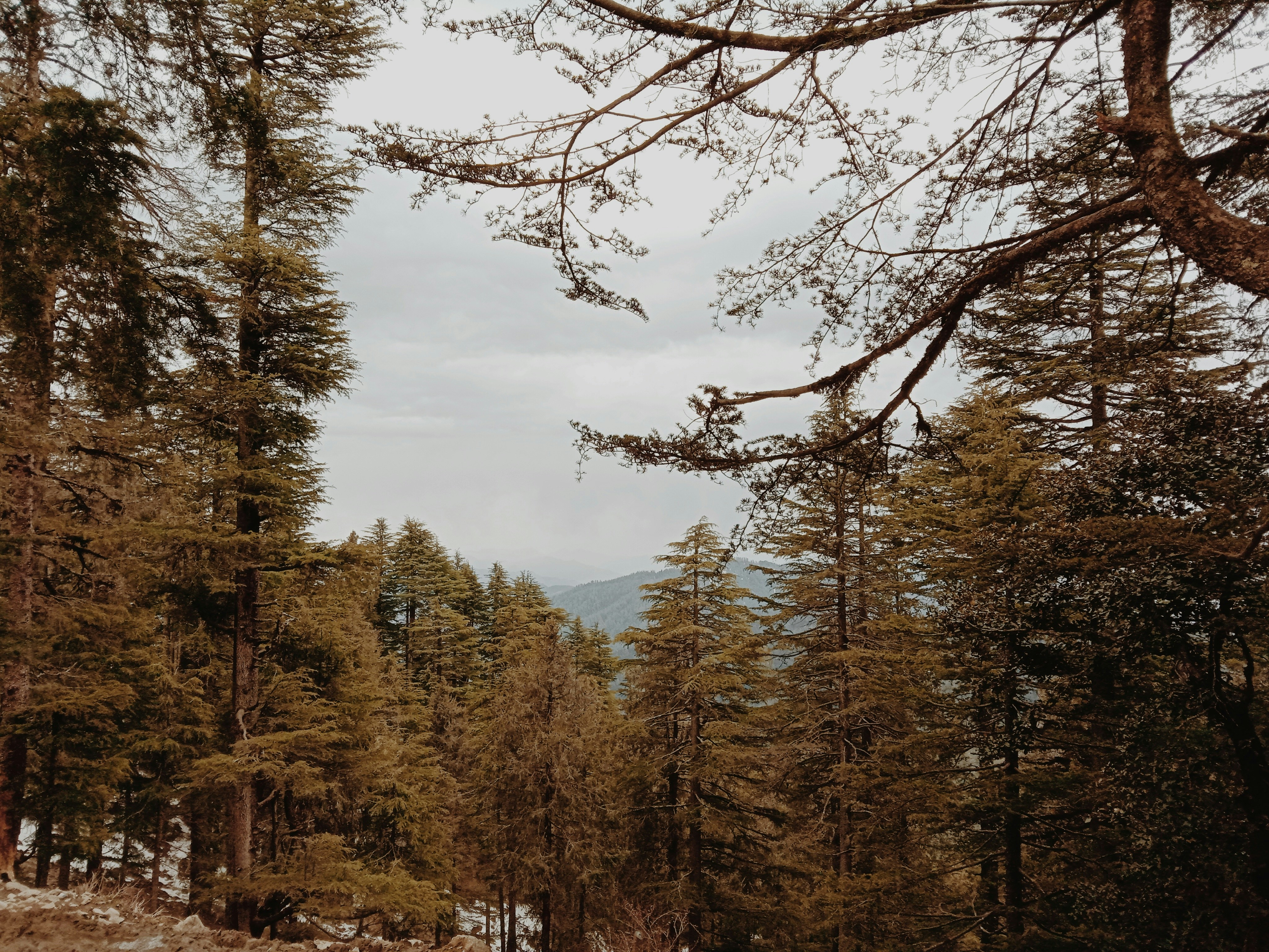 Photo by budding_photographer