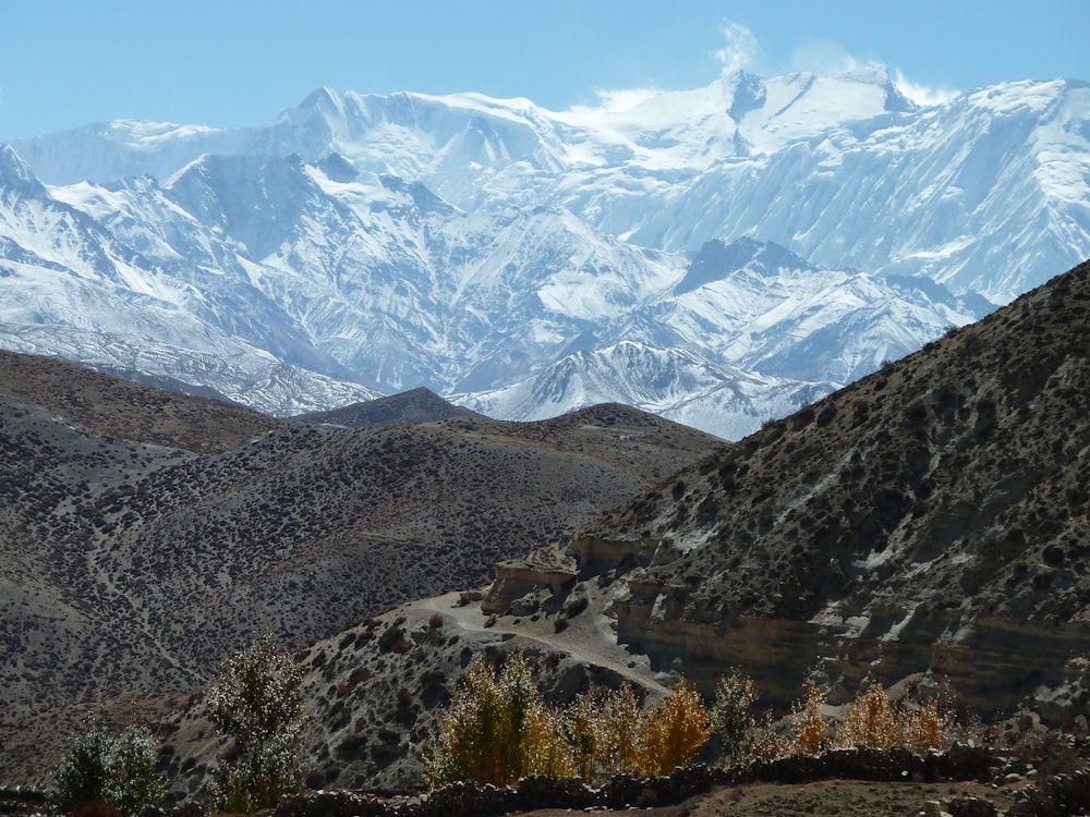 montagnes enneigées pendant la journée