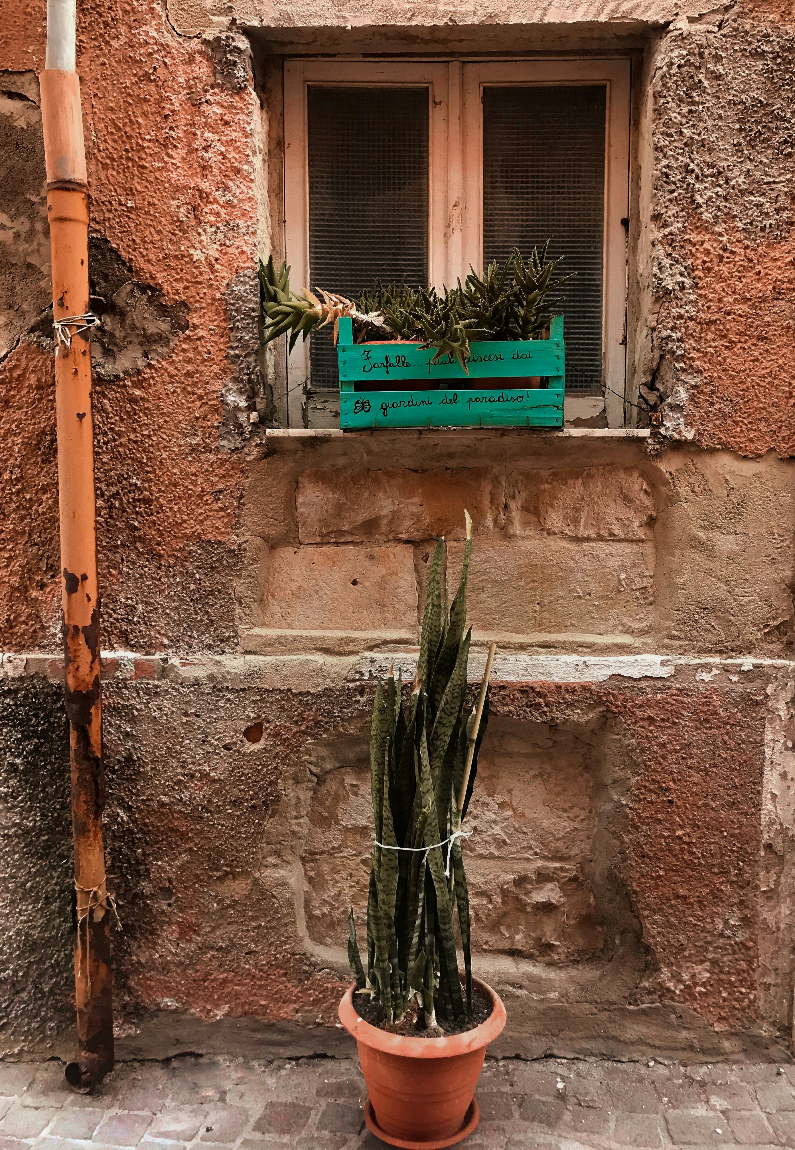 Photo by lauralugaresi