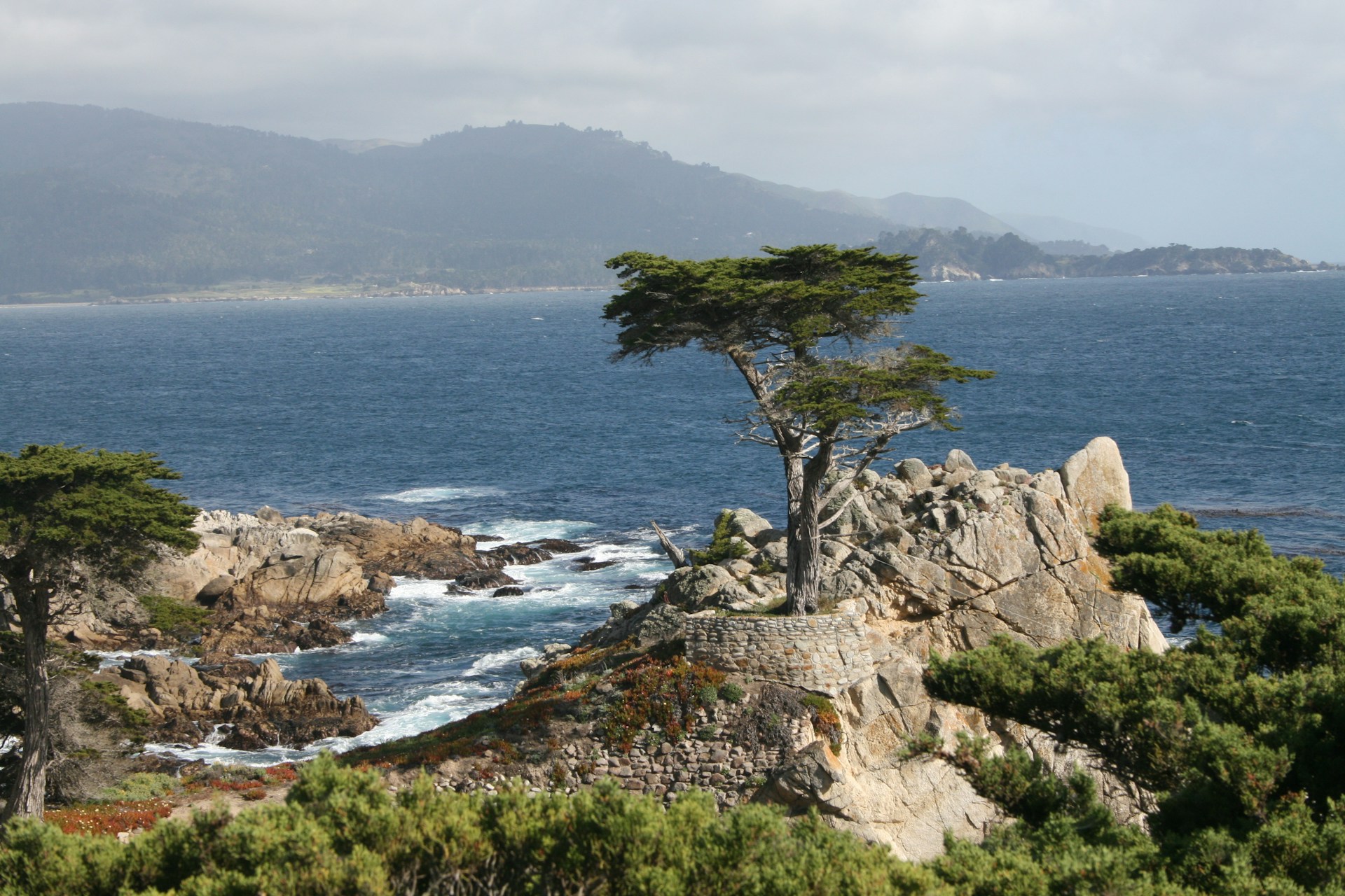 green tree on brown rocky mountain near body of water during daytime