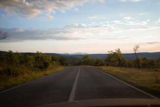 A winding back road cutting through golden fields under a big blue sky at sunset.
