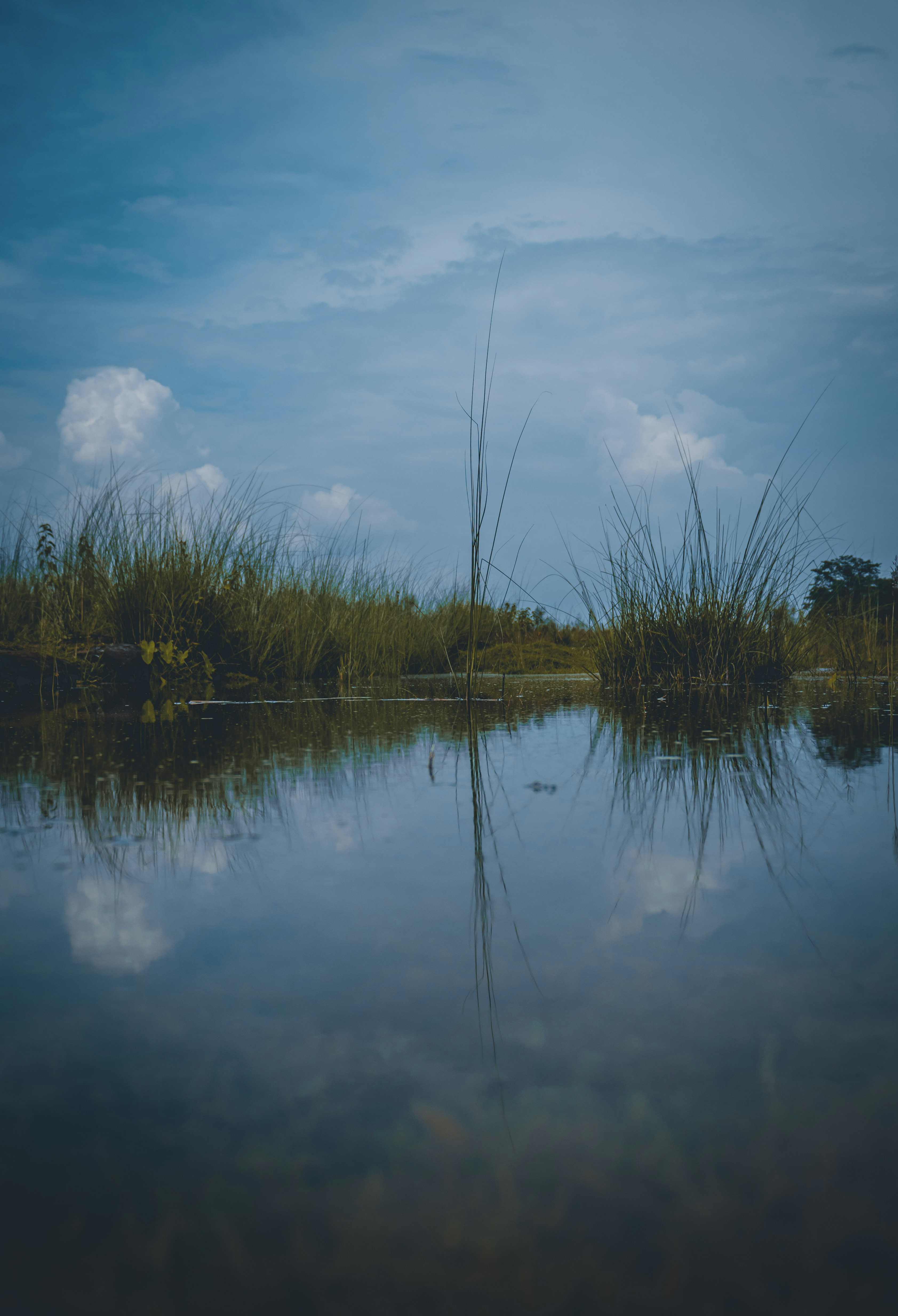 Photo by devasangbam