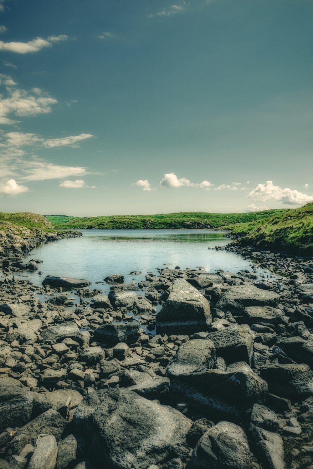 erba verde e alberi accanto al fiume sotto il cielo blu durante il giorno