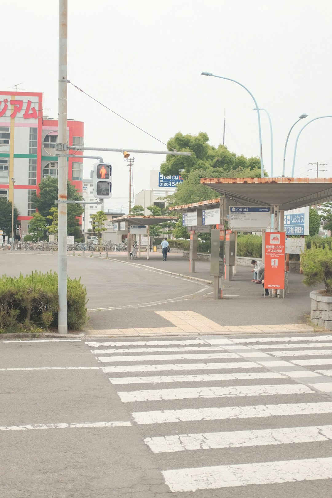 pedestrian lane with traffic light