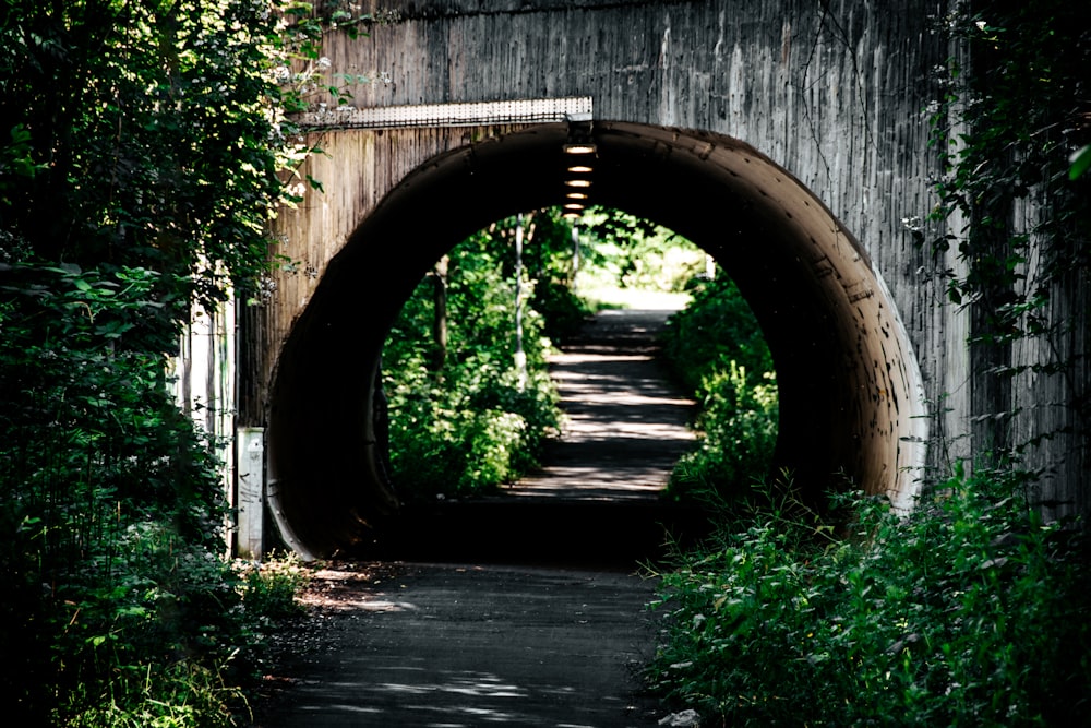 brown wooden tunnel with green plants