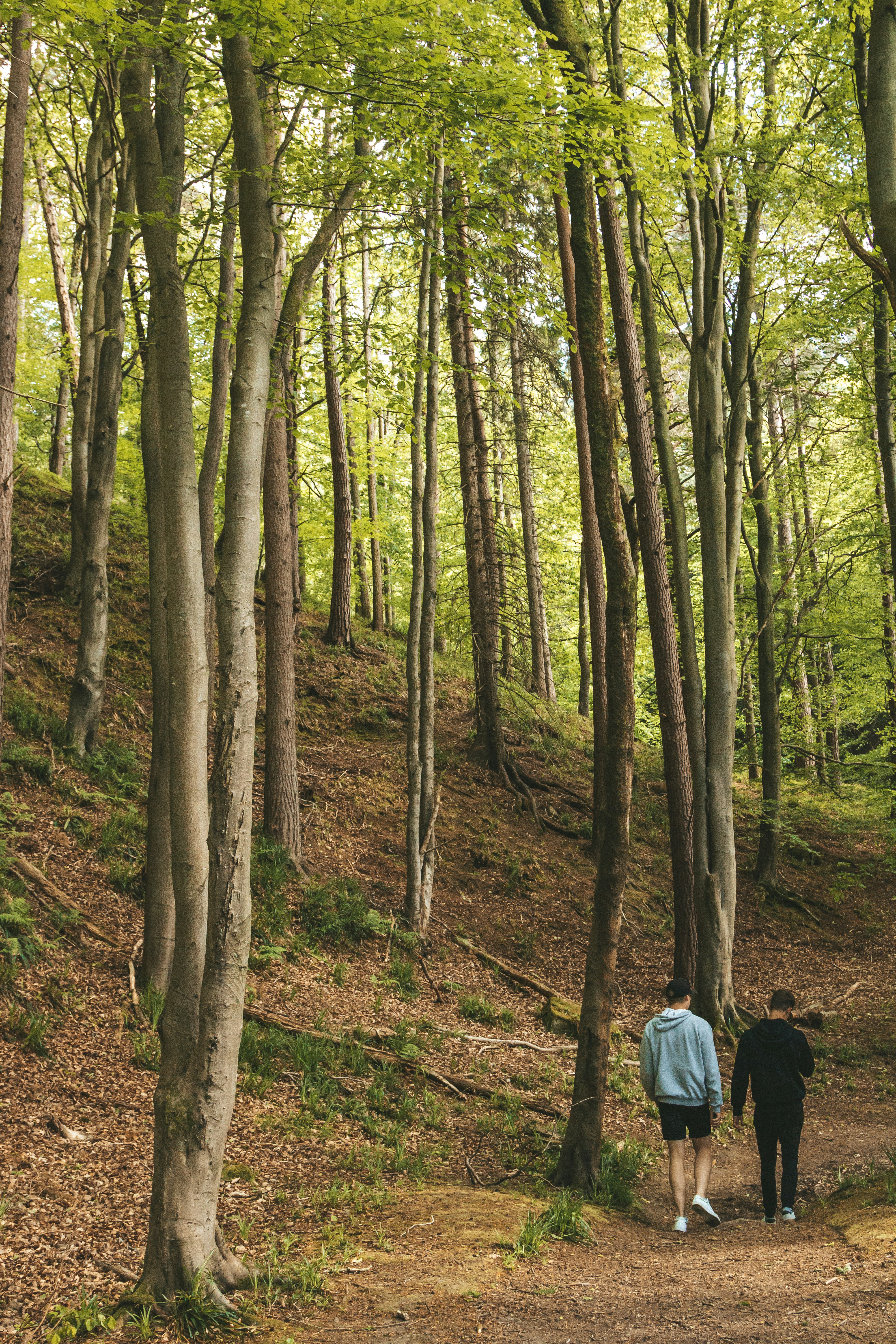 Photo by charliegreen998