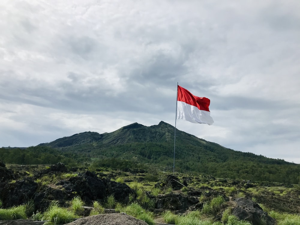 山頂の赤と白の旗