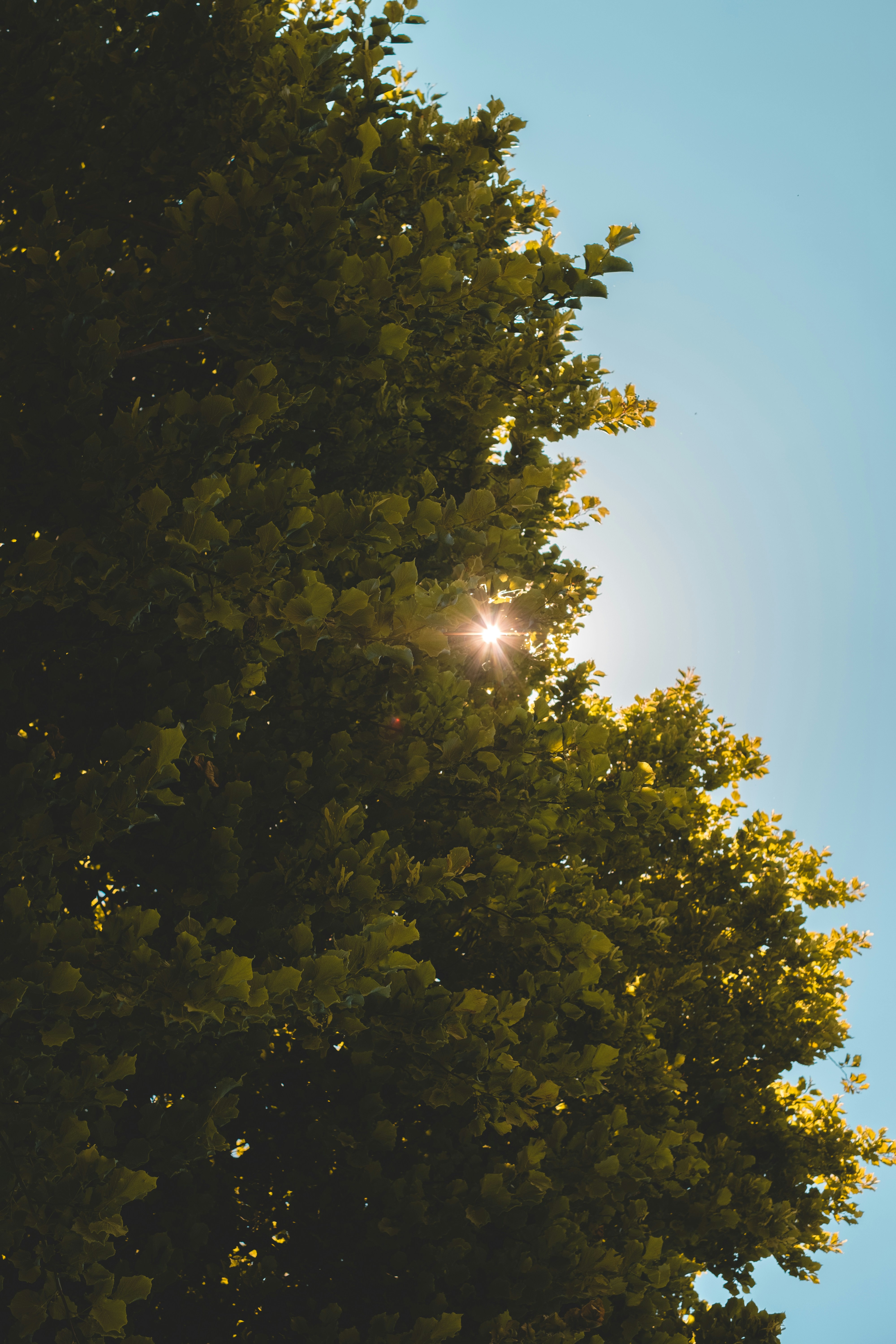 Photo by veedubsimon