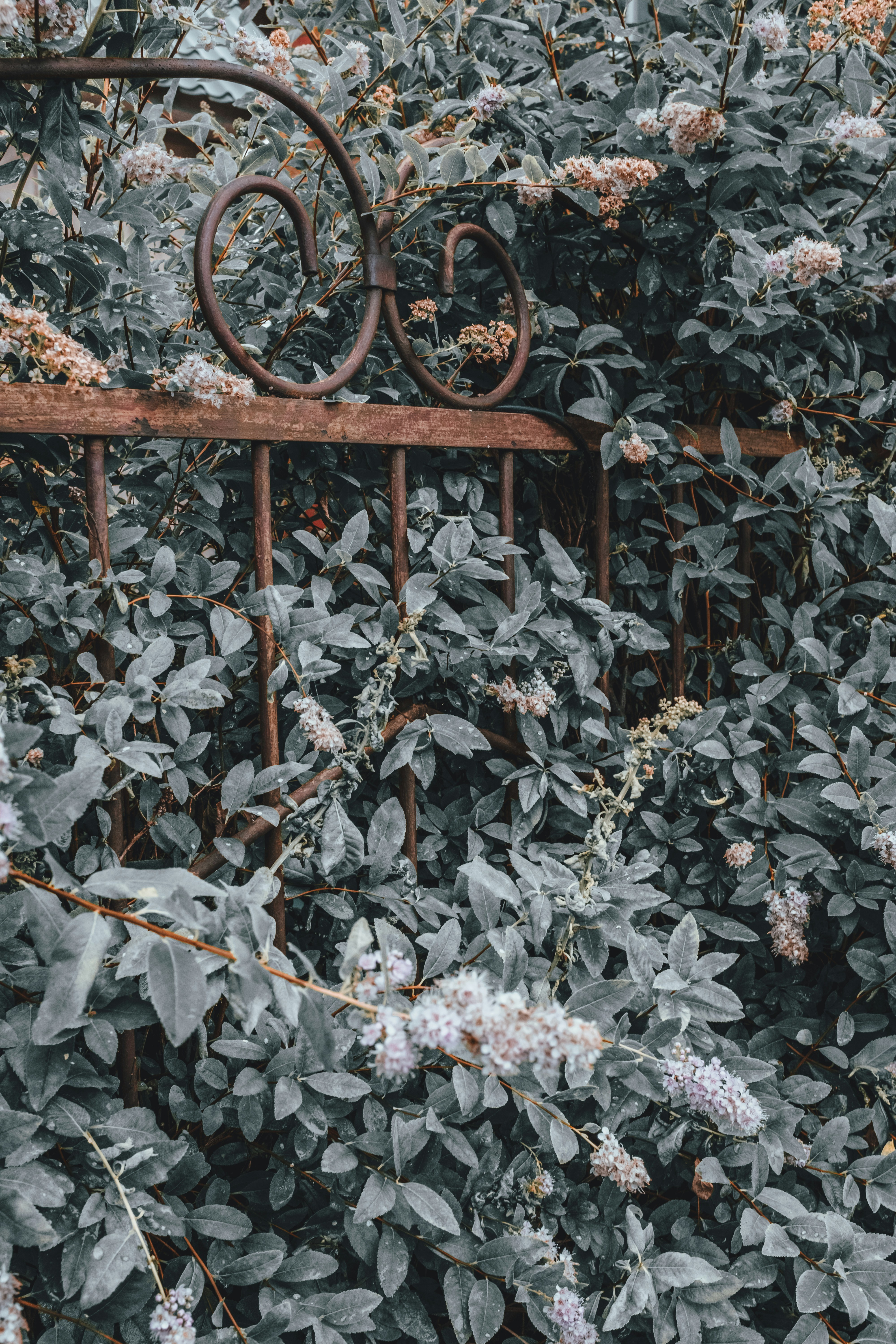 Photo by thestreetsmoment