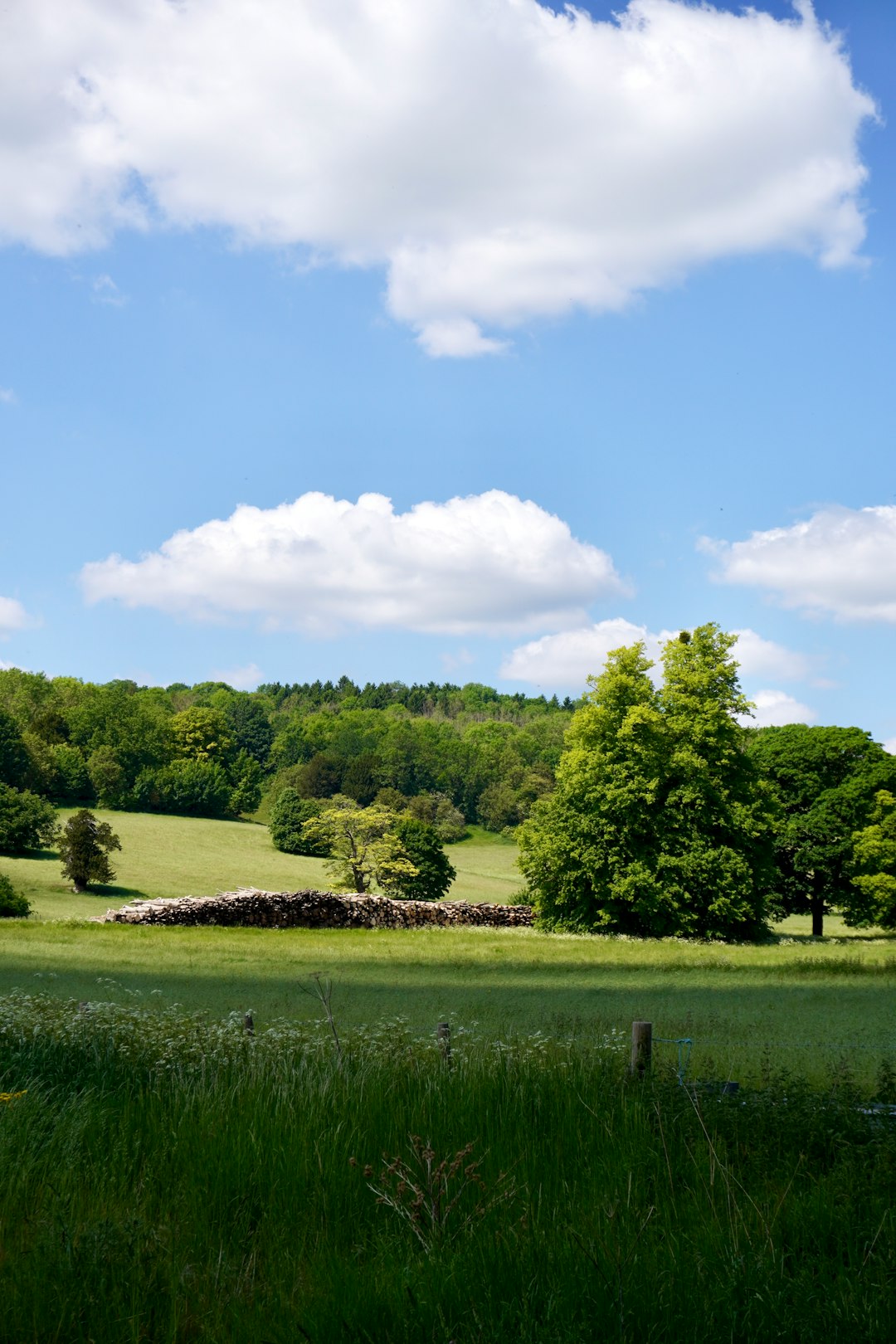 green grass field and green trees under blue sky and white clouds during daytime