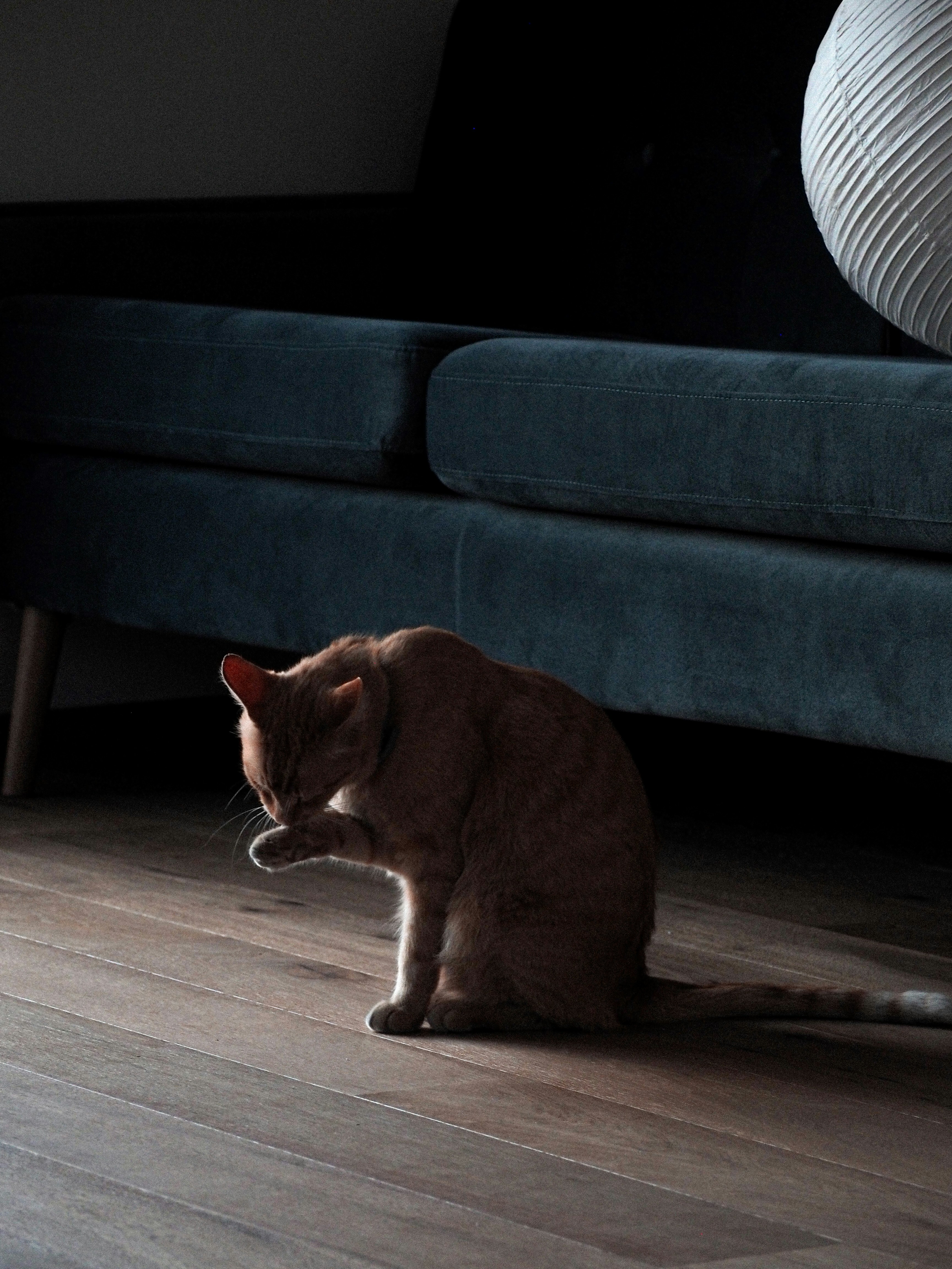 Photo by malotovanatalie