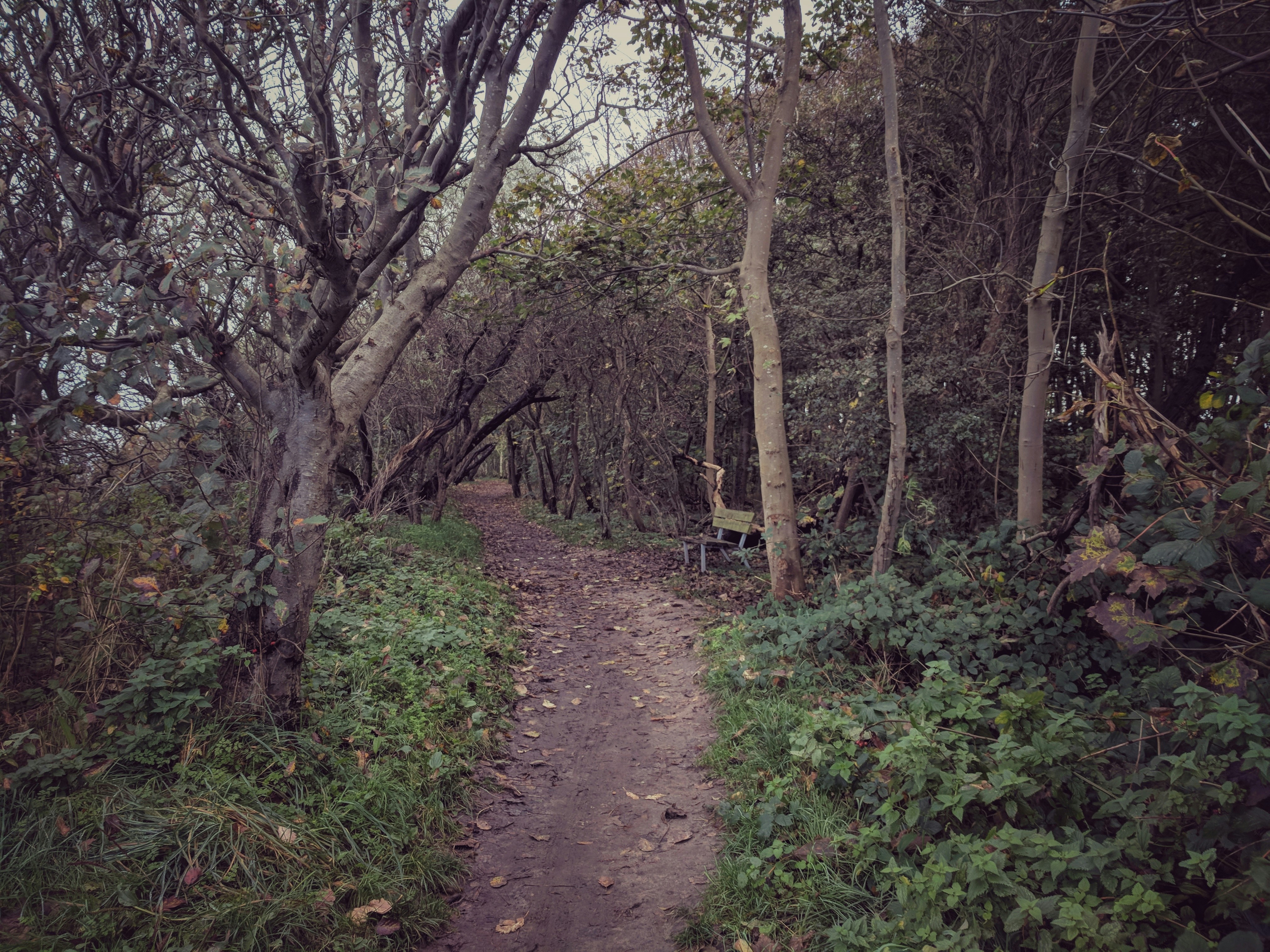 Photo by bjoernluedemann