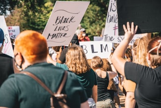 A gathering of people holding protest signs with phrases like 'Black Lives Matter' and 'BLM'. The crowd appears to be diverse in age and gender, with individuals wearing casual summer clothing. Many participants have their backs to the camera and are raising their signs and hands. The setting suggests a public outdoor space, with trees visible in the background.