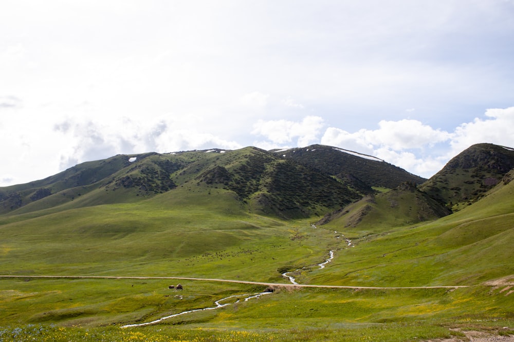 green grass field and mountains during daytime