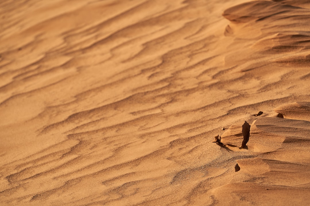 person walking on brown sand during daytime