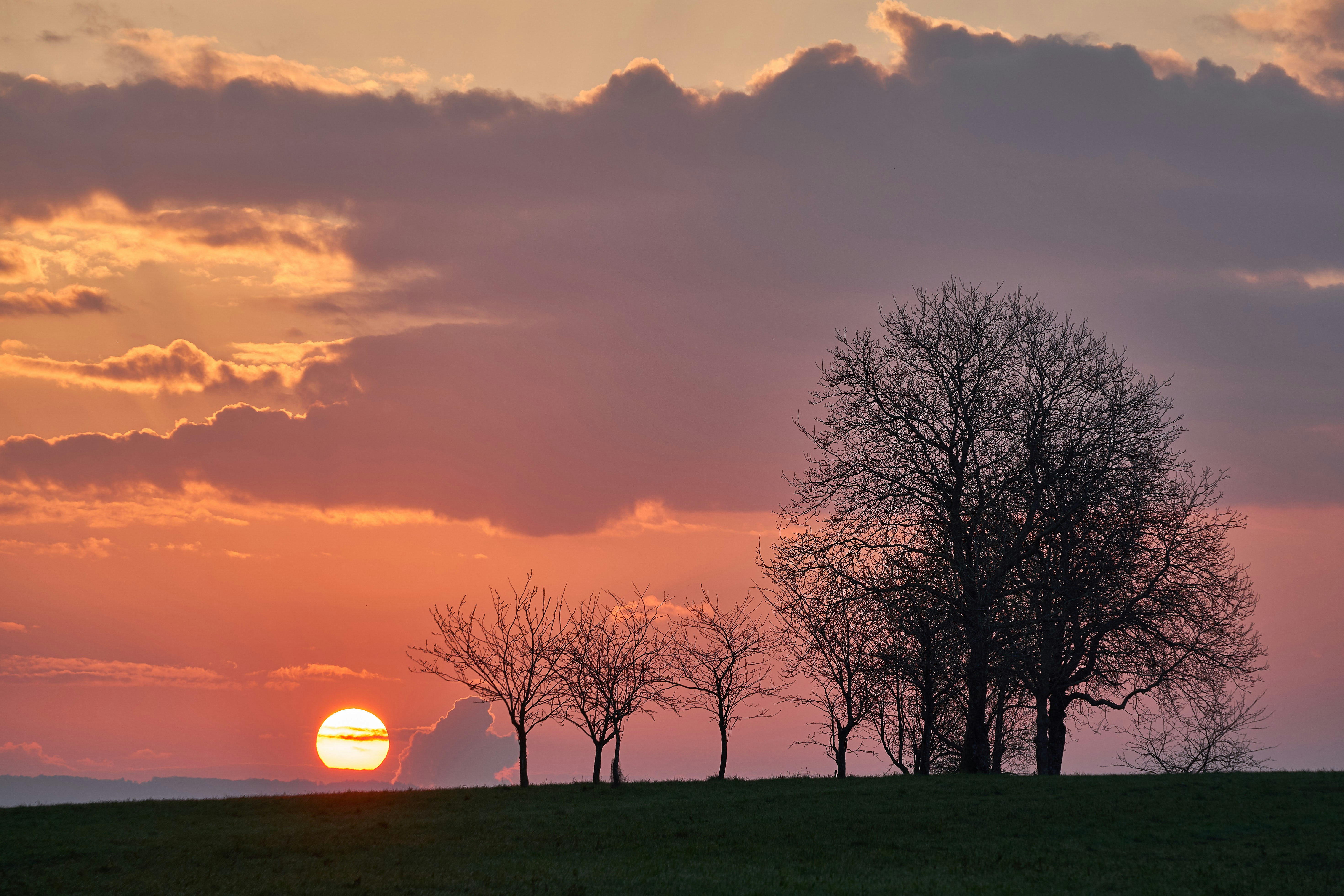 Photo by wolfgang_hasselmann