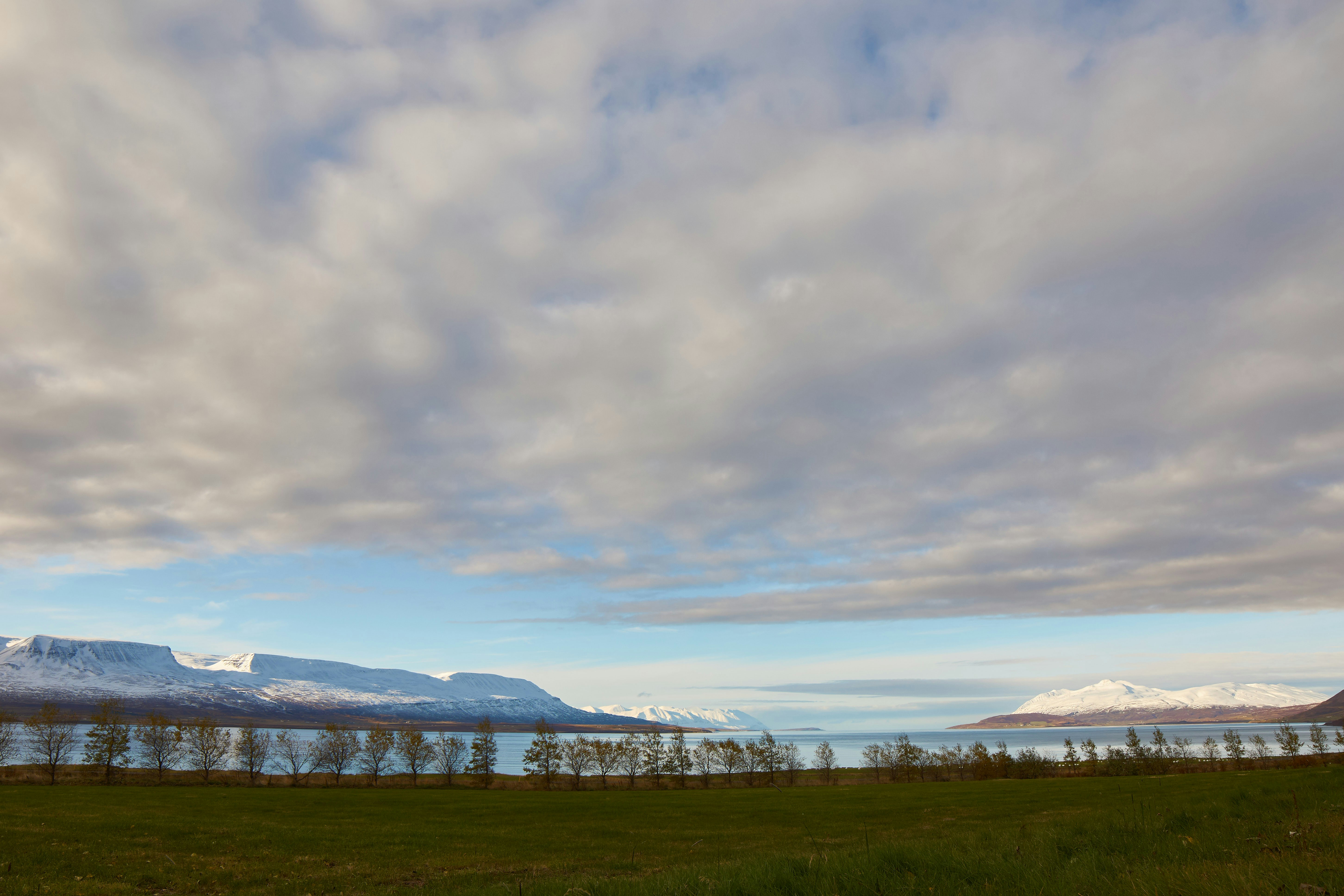 Photo by wolfgang_hasselmann