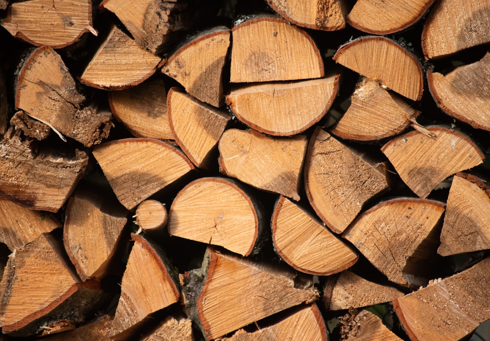 brown wooden logs during daytime