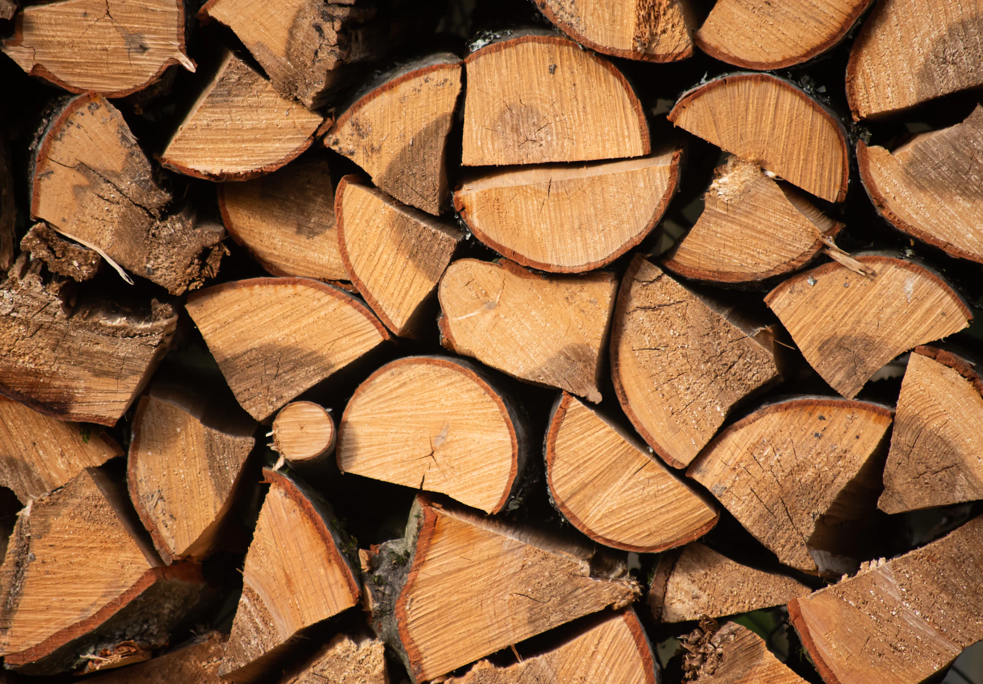 A long stack of split, seasoned firewood in afternoon light