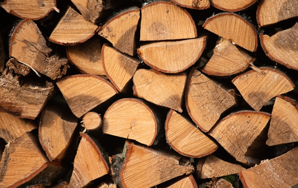 brown wooden logs during daytime