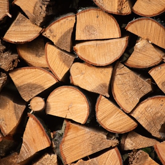 brown wooden logs during daytime