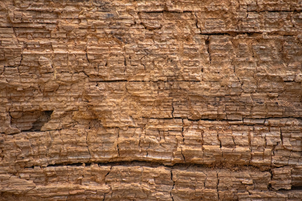 brown and black rock formation