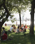 people sitting on green grass field near green trees during daytime