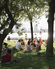 people sitting on green grass field near green trees during daytime
