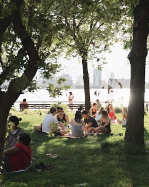 people sitting on green grass field near green trees during daytime