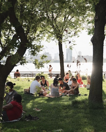 people sitting on green grass field near green trees during daytime