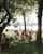 people sitting on green grass field near green trees during daytime