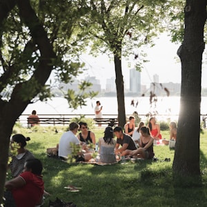 people sitting on green grass field near green trees during daytime