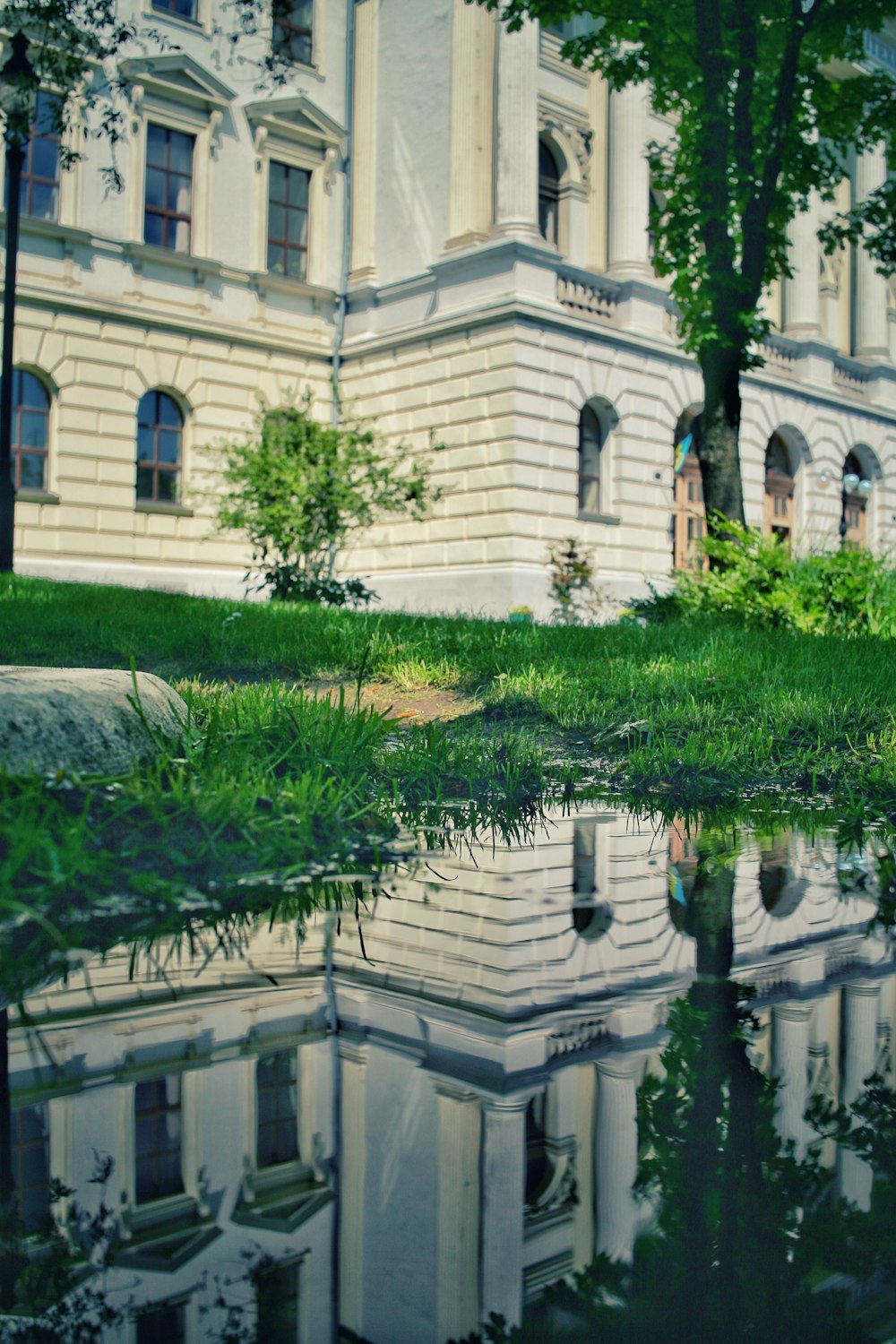 green grass near white concrete building during daytime