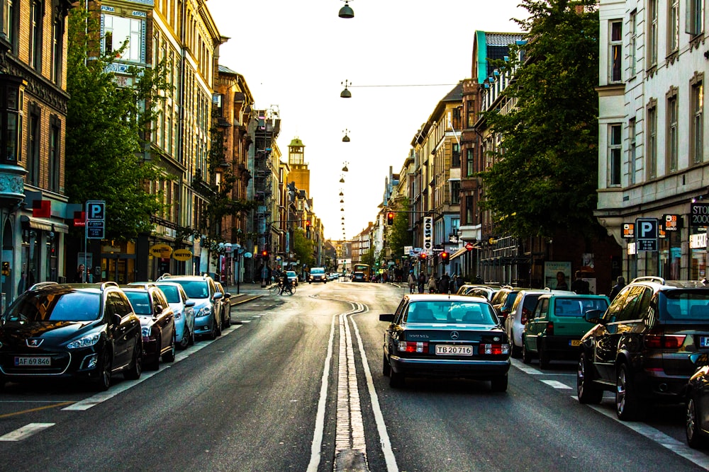 cars on road between buildings during daytime