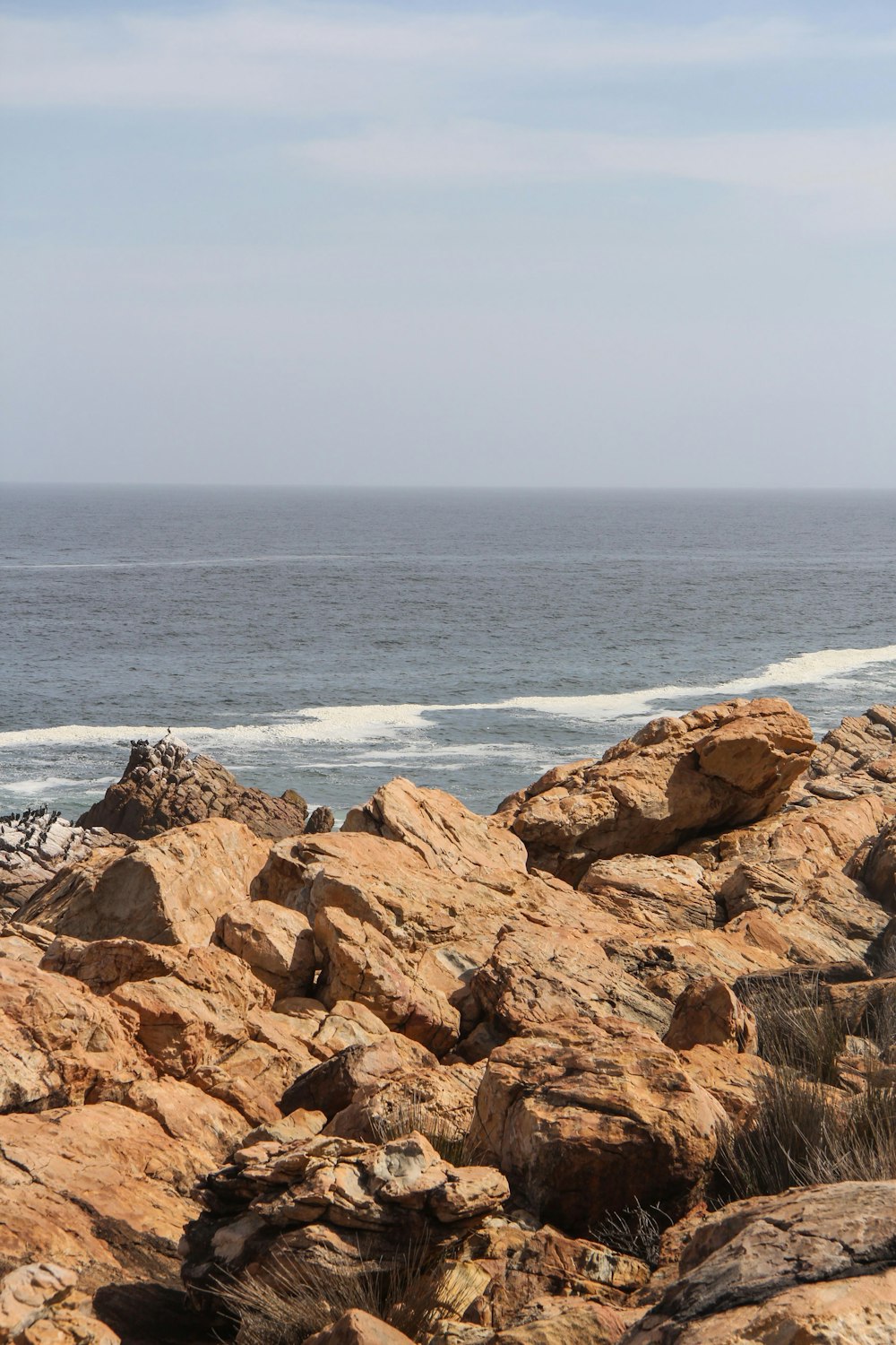 brown rocky shore near body of water during daytime